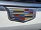 2021 Cadillac Escalade Premium Luxury Platinum